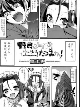 [M系資源漢化]流浪女僕龍見小姐_P355