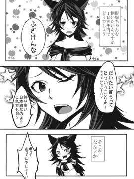 (C85) [アカイキツネ (八咲)] ニホンオオカミノカイカタ (東方Project)_jzIIJ_mJCJ_002