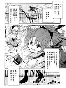 (C85) (同人誌) [ahAha] Miniature Maze Garden of Rebellion [RAW]_IMG_0010