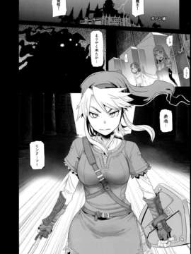 (C85) (同人誌) [DA HOOTCH (新堂エル)] PIG (ゼルダの伝説)_0003