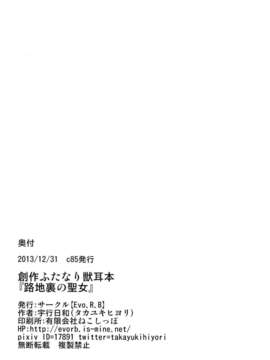(C85) [Evo.R.B (宇行日和)] 路地裏の聖女 (オリジナル)_022