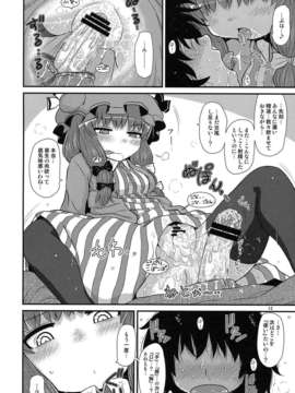 (C85) (同人誌) [川豚毒 (加藤フグオ)] するだけ番外。(東方Project)_suru_0010