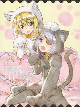 (C85) (同人誌) [CLOSET CHILD (近衛乙嗣)] Ideal Sweetheart (IS＜インフィニット?ストラトス＞)_Laura_0008