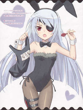 (C85) (同人誌) [CLOSET CHILD (近衛乙嗣)] Ideal Sweetheart (IS＜インフィニット?ストラトス＞)_Laura_0010