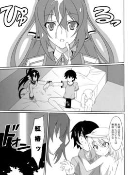 (C85) [LemonMaiden (蒼海)] LovelyBlackRabbitS (IS＜インフィニット_ストラトス＞)_13