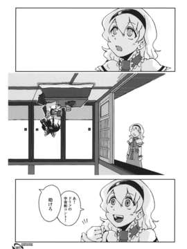 (C85) [まりおねっと装甲猟兵 (里村響)] それなりにだいぎゃくてん (東方Project)__005