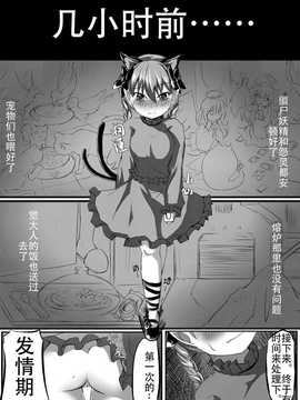 [463 li] 阿燐的假日前传 (touhou project)_007