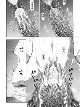 (C86) [Yokohama Junky (魔狩十織)] ソロハンターの生態 4 The third part (モンスターハンター) [无毒汉化组x屏幕脏了汉化组]_img028