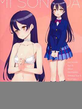 【CE家族社】(C86) [少女騎士団 (大槍葦人)] What is this thing called love 2 (ラブライブ!)_CE_599_012