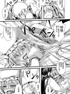 【CE幻想夏结社】(C86[ねちょらぽっどなんぷぅ] おしおきフラン(東方Project_CE_614_005
