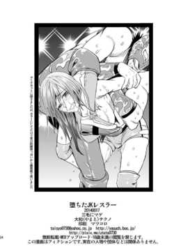 [清純突破漢化] (C86) [三毛にマゲ (大和テクノ)] 堕ちたJKレスラー_033