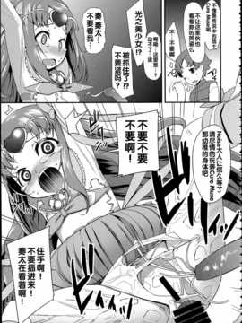 [汉化](C86) [コンディメントは8分目 (前島龍)] 総集編 スマドキオールスターズ -みんなハメともだち- (プリキュアシリーズ)_img_023