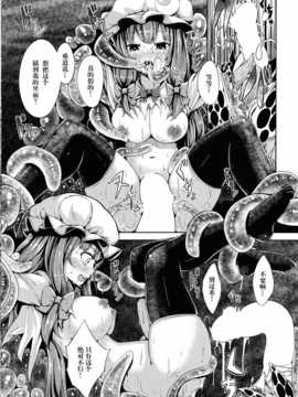【CE幻想夏结社】(C86) [YuKi-IRo (ゆきうさぎ。)]魔女狩り(東方Project)_CE_690_008
