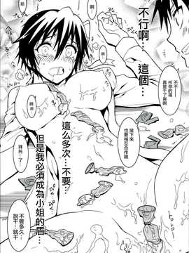 [无毒汉化组](C86) [PROJECTハラキリ (介錯)] ニセニ○コイ4 (ニセコイ)_img014
