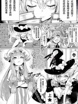 国ネタメコル (ねこめたる)] それでもまりさが好き (東方Project)_04