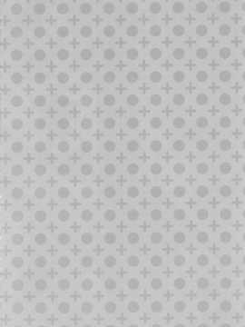 【CE家族社】(C81) [atSD (つねよし)] みことと。2 (とある魔術の禁書目録)_CE_745_004