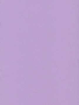 [Medical Berry] Fragrance of Lilac (negima)[Befreiungsfuehrer第二次个人汉化]_003