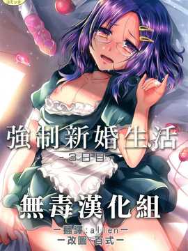 [無毒漢化組] (C85) [カンナビス (しまじ)] 強制新婚生活3日目 (DL版)