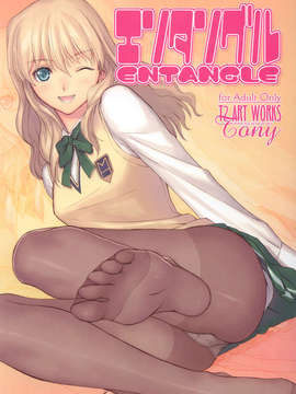 [T2 ART WORKS (Tony)] Zegapain エンタングル　ENTANGLE(C71)(同人誌)