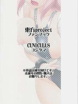 [oo君の個人漢化](紅楼夢10) [CUNICULUS (ヨシタマ)] 華の湯 (東方Project)_0003