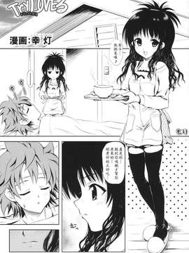 (C74) [しあわせ甘味料 (幸灯)] Try LOVEる ～とらいらぶる～ (To LOVEる -とらぶる-)_0002