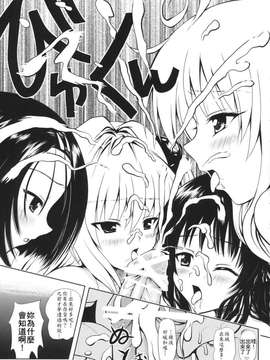 (C74) [しあわせ甘味料 (幸灯)] Try LOVEる ～とらいらぶる～ (To LOVEる -とらぶる-)_0012