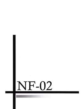 (C76) [夜の勉強会 (ふみひろ)] NF-02 (魔法少女リリカルなのは) [无毒汉化]_002
