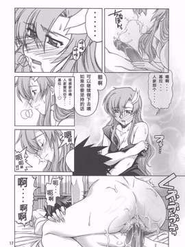 [graviton个人汉化] (C70) [GOLD RUSH (鈴木あどれす)] Thank you! From Gold Rush (機動戦士ガンダムSEED DESTINY)_0017