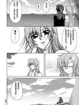 [graviton个人汉化] (C72) [GOLD RUSH (鈴木あどれす)] A Diva of Healing II (機動戦士ガンダムSEED DESTINY-無修正)_0024