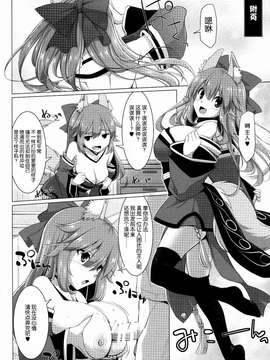 [脸肿汉化组] (C87) [といぼっくす+くぢらろじっく (くりから, くぢらん)] ご主人様おっぱいですよ!!3 (Fate／EXTRA CCC)_0012
