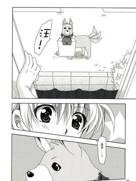 [Dog Days][Wonderful Ever]_0008