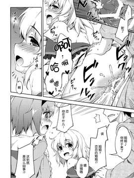 [无毒汉化组](例大祭12) [たこ焼き畑 (たこ焼き)] 破廉恥ローズ (東方Project)_20150716_180843_022