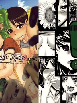Four Leaf Lover 中文