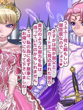 (同人CG集) [pinkjoe] 報酬の姫君 princess super slut_130_046s