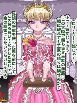 (同人CG集) [pinkjoe] 報酬の姫君 princess super slut_159_075s
