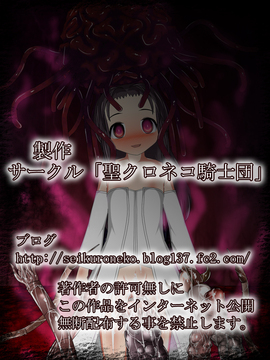 [同人CG][聖クロネコ騎士団]異種姦洗脳悪堕ち調教3!魔物に永遠の忠誠を誓い身も心も魔物となる姫__052