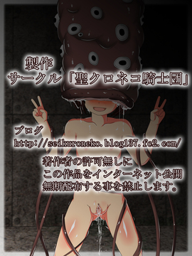 [同人CG][聖クロネコ騎士団]異種姦洗脳調教!脳を弄られ忠実な人間苗床となった奴隷少女_47