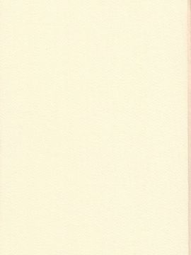 [血祭屋本舖] (C54) Evangelium Aeternitatis 永遠の福音書 (新世紀エヴァンゲリオン)_183_Evangelium_Aeternitatis_Eien_Fukuinsho_i_181