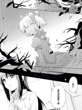 (C87)(同人誌)[山田あこ] 純粋培養少女(魔法少女まどか☆マギカ)[まどほむ联合统一战线]_03
