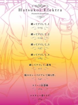 [カタセミナミ] 発恋エレクトラ_004