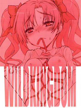[WILD KINGDOM] (C77) くろこと (とある科学の超電磁砲)_0020