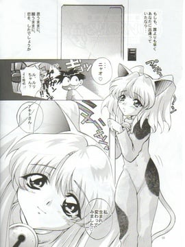 [TIMTIMマシン (カズマ・G-VERSION、花田蘭丸)] TIMTIMマシン 4号 (機動戦艦ナデシコ)_ruri0009