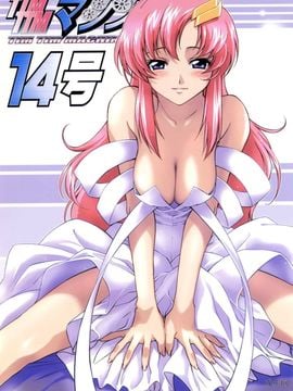 [TIMTIMマシン (カズマ・G-VERSION)] TIMTIMマシン 14号 (機動戦士ガンダムSEED DESTINY)