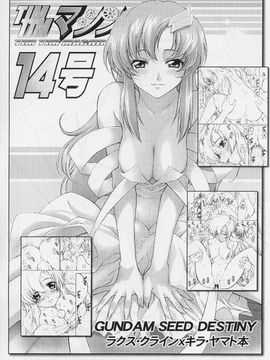 [TIMTIMマシン (カズマ・G-VERSION)] (C69) TIMTIMマシン 15号 (機動戦士ガンダムSEED DESTINY)_timtim15_14