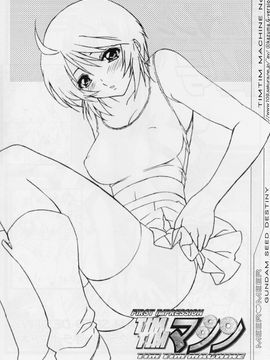 [TIMTIMマシン (カズマ・G-VERSION)] (C69) TIMTIMマシン 15号 (機動戦士ガンダムSEED DESTINY)_timtim15_15