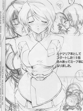 [TIMTIMマシン (カズマ・G-VERSION)] (C69) TIMTIMマシン 15号 (機動戦士ガンダムSEED DESTINY)_timtim15_16