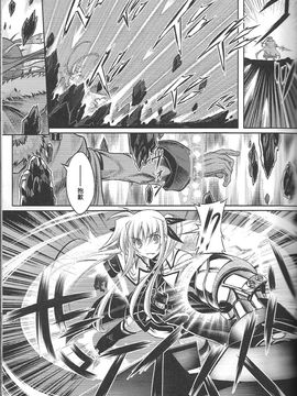(C74) (同人誌) [比村乳業(仮)] 魔法少女リリカルなのはBetrayers(漢化)_31