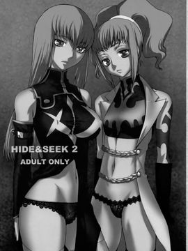 [紅茶屋 (大塚子虎)] (C74) HIDE&SEEK 2 (コードギアス 反逆のルルーシュ) [中]_002f