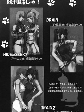 [紅茶屋 (大塚子虎)] (C75) BLACK DIAMOND (機動戦士ガンダム00) [中]_bd_38