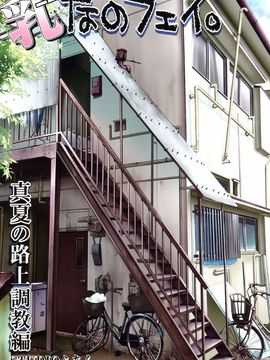 (サンクリ65) [STUDIOふあん (来鈍、椎茸宮どんこ)] 乳なのフェイ。真夏の路上調教+輪姦フルカラー総集編 新装版 (魔法少女リリカルなのは)_05